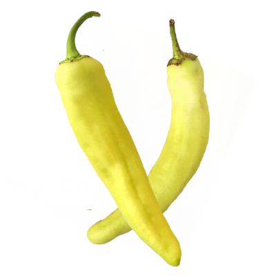 Hydroponic Banana pepper
