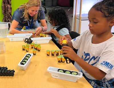 Kids and teacher setting up nurseries for the hydroponic gardens