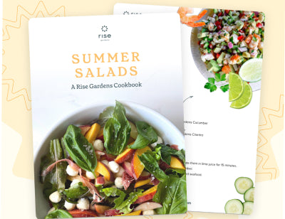 Free salad cookbook