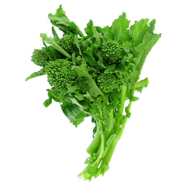 hydroponic broccoli raab