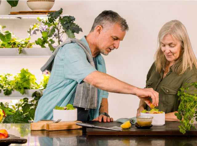 Senior couple preparing fresh salads with greens harvested from their hydroponic garden