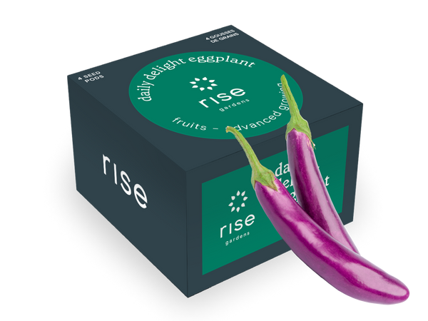 Daily Delight Eggplant seeds for Hydroponic Gardens | Rise Gardens