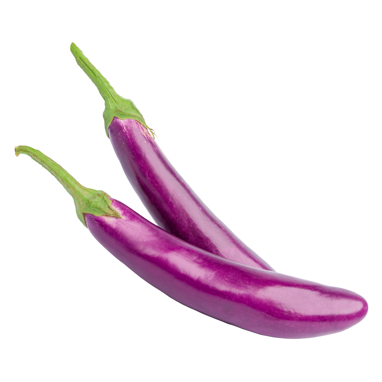 water eggplant Daily Delight Eggplant seeds for Hydroponic Gardens | Rise Gardens
