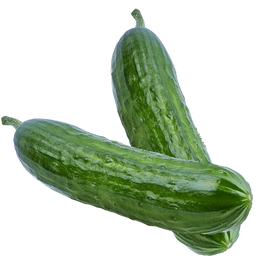 Dasher II Cucumber