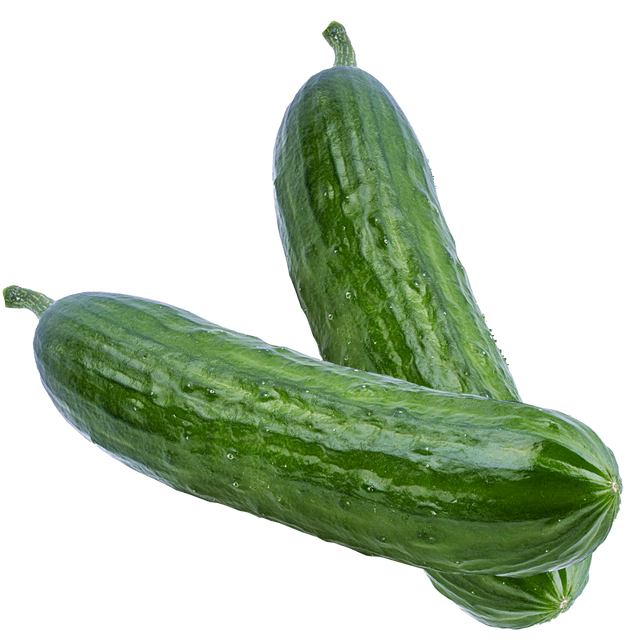 Hydroponic cucumber