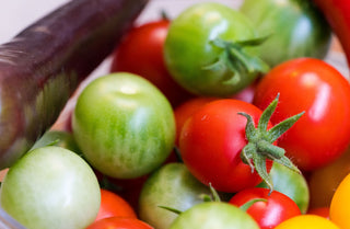 Fresh tomatoes and peppers harvested from an hydroponic garden