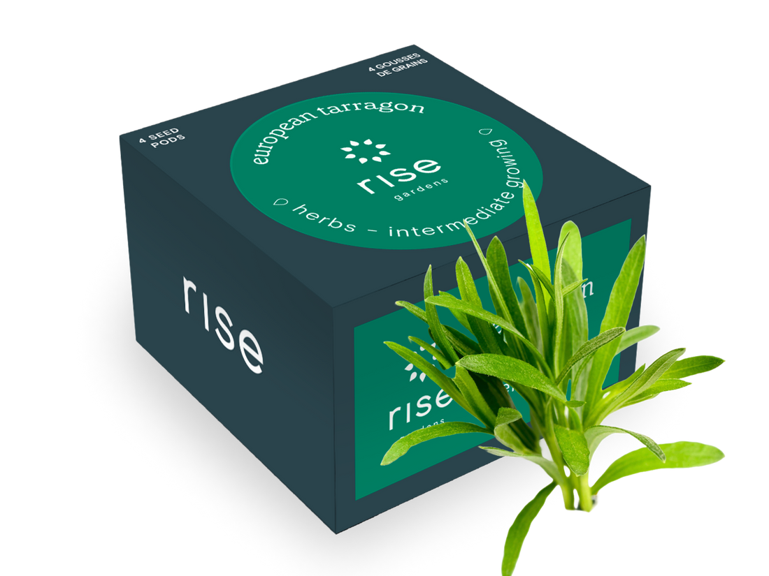 4 pack european tarragon hydroponic seedpods