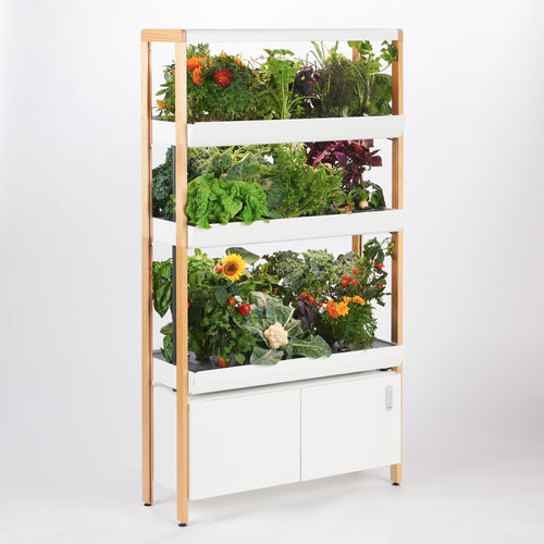 Rise Gardens modular indoor hydroponic system with LED lighting.