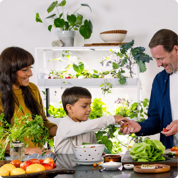 Family enjoying fresh produce harvested from their hydroponic smart garde - The Rise Garden allows you to grow  sustainable food indoors year round