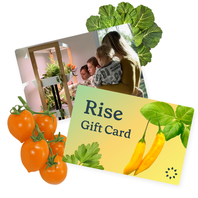 Rise Gardens egift card - give the gift of year round growing