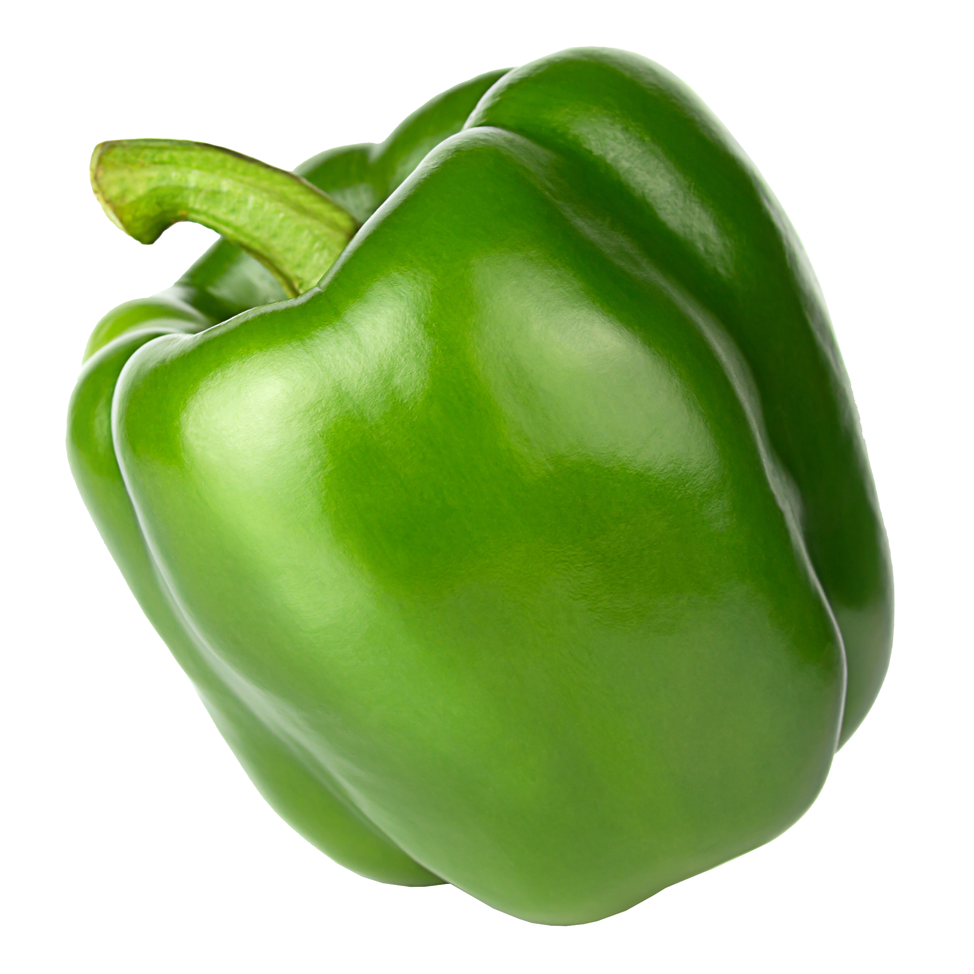 hydroponic bell pepper yield per plant Green Bell Pepper