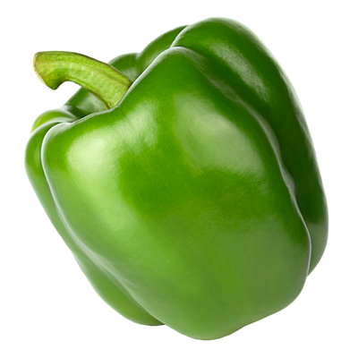 Hydroponic green bell pepper