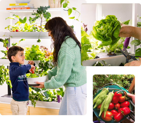 Mother and son holding a salad made with fresh, nutritious hydroponic produce