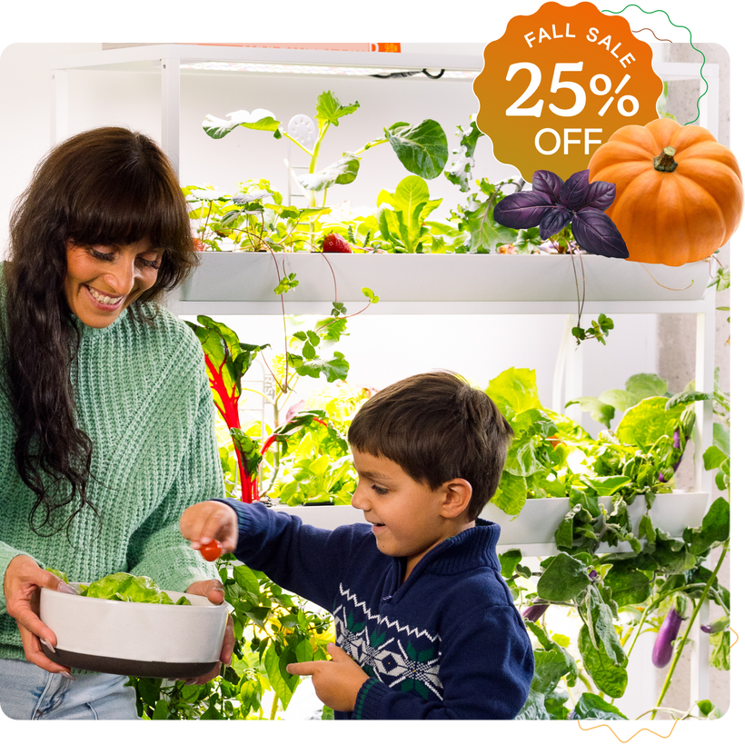 Woman and childwith their fresh harvests from their Rise garden with plants and pumpkins, promotional banner overlay.