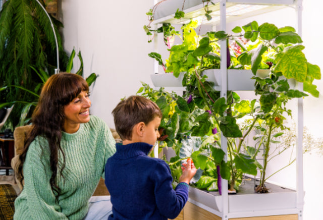 Mother and son growing produce in their hydroponic garden