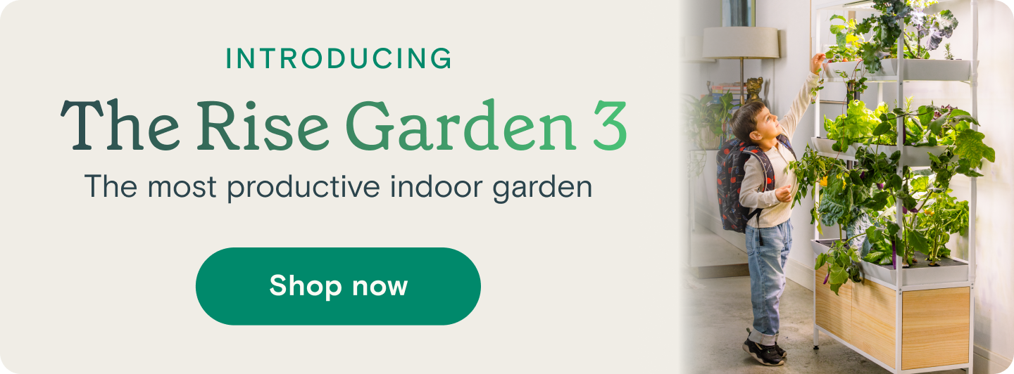 Rise Gardens Single (3-tier)