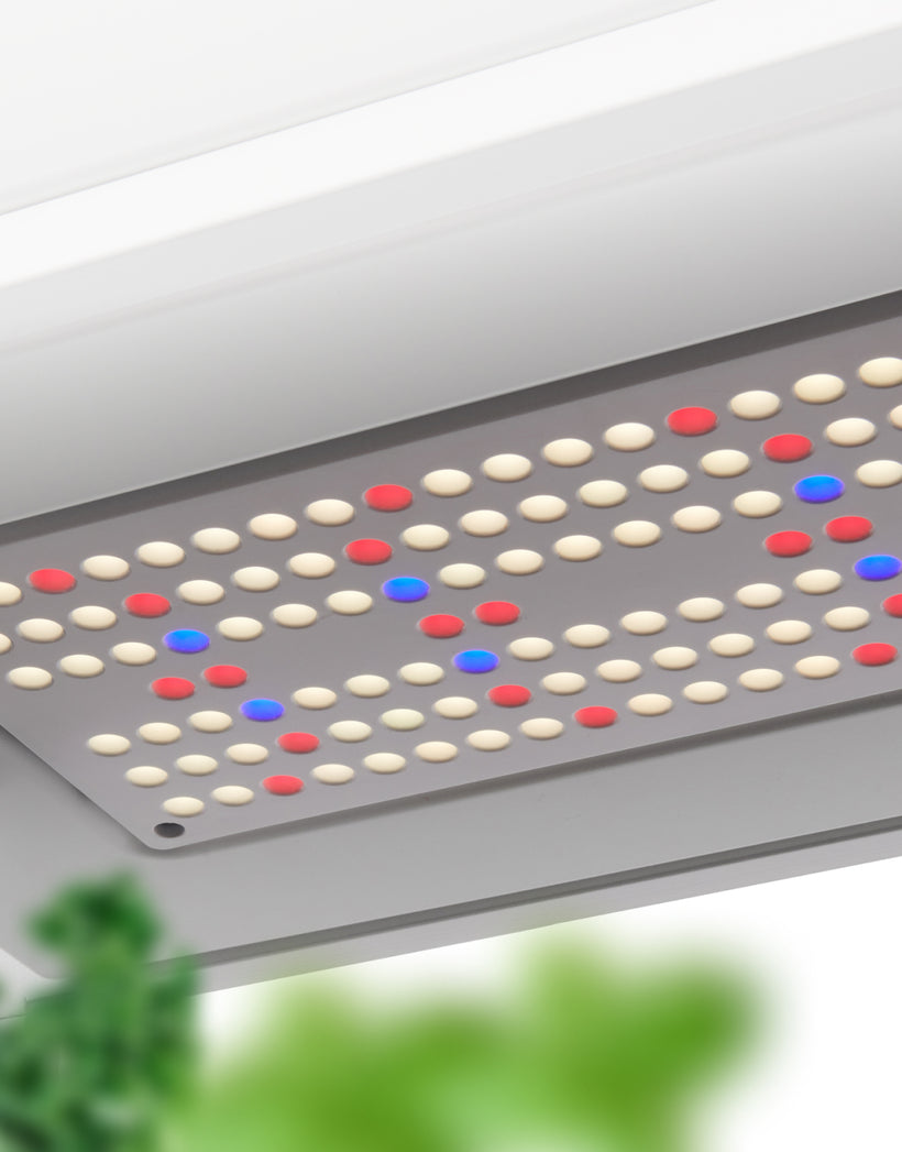 Powerful full spectrum LEDs from hydroponic system
