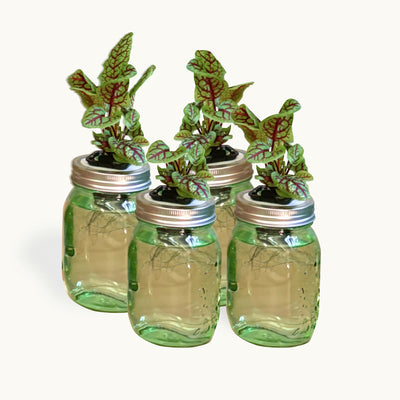 Mason Jar Classroom Kit