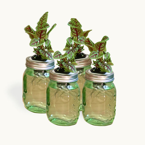 Mason Jar Classroom Kit