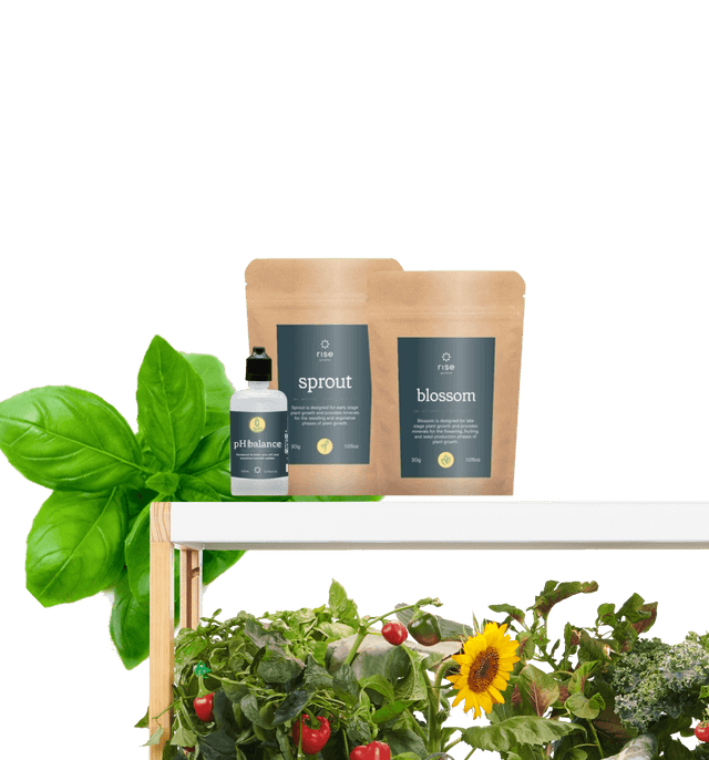 Rise Garden Membership