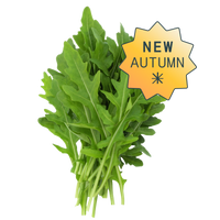 Mild Arugula