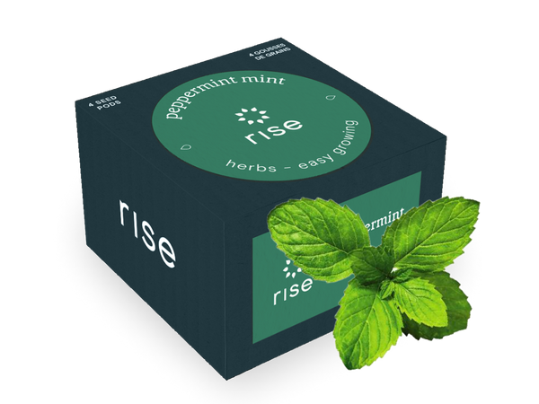 Mint Peppermint Seeds for Indoor Herb Garden | Rise Gardens