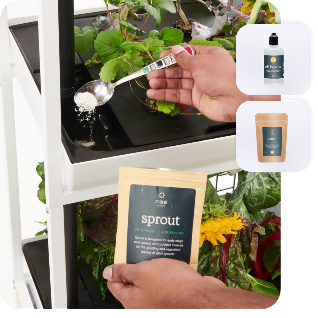 Gardener adding solid nutrients to hydroponic system