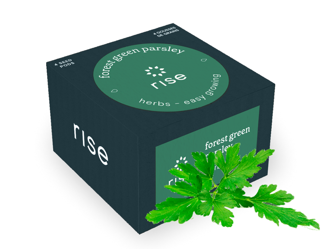 Forest Green Parsley