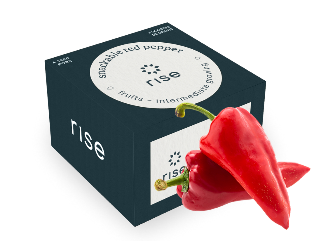 Pepper Mamba Sweet Red