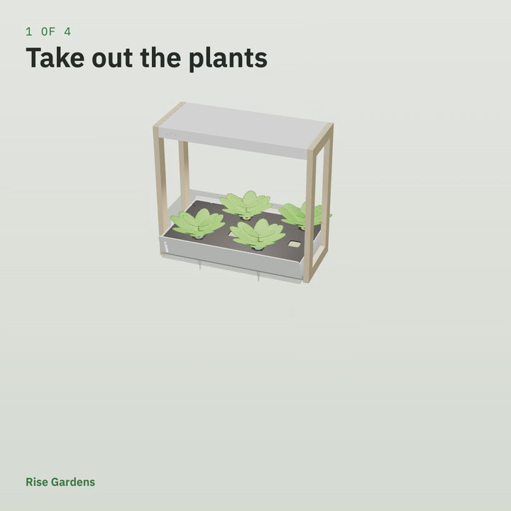 Animation: Personal Rise Garden deep clean, with a vinegar rinse, the pump scrubbed and the tray lifted off its rails