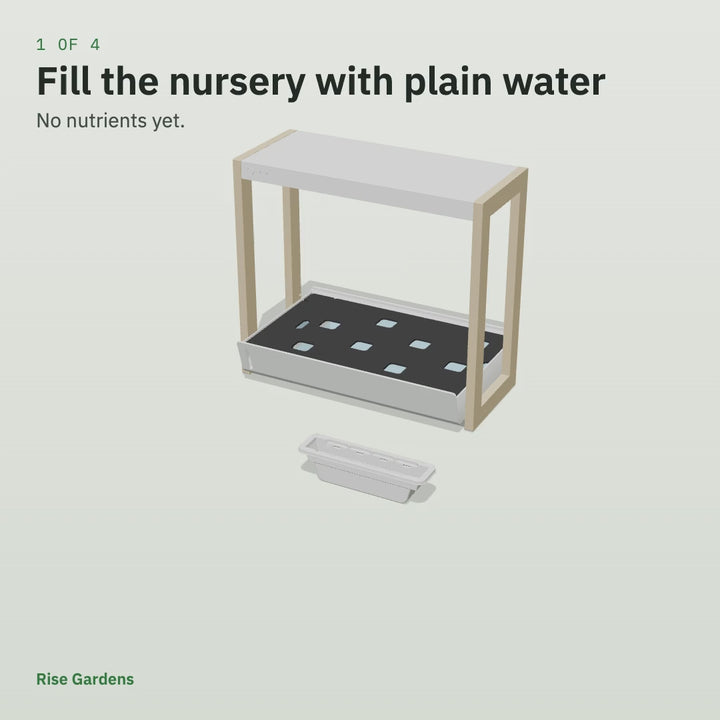 Animation: seed pods set in net cups, clicked into the Personal Rise Garden nursery and covered with the humidity dome