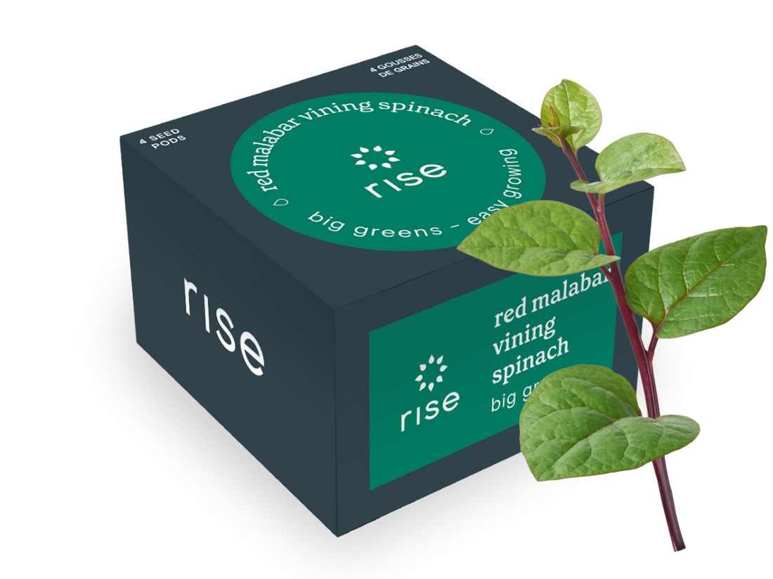 4 pack spinach hydroponic seedpods