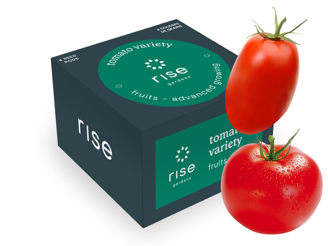4 pack tomato hydroponic seedpods
