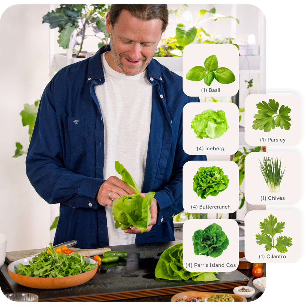 Hydroponic seed pods included in Hydroponic Garden starter kit