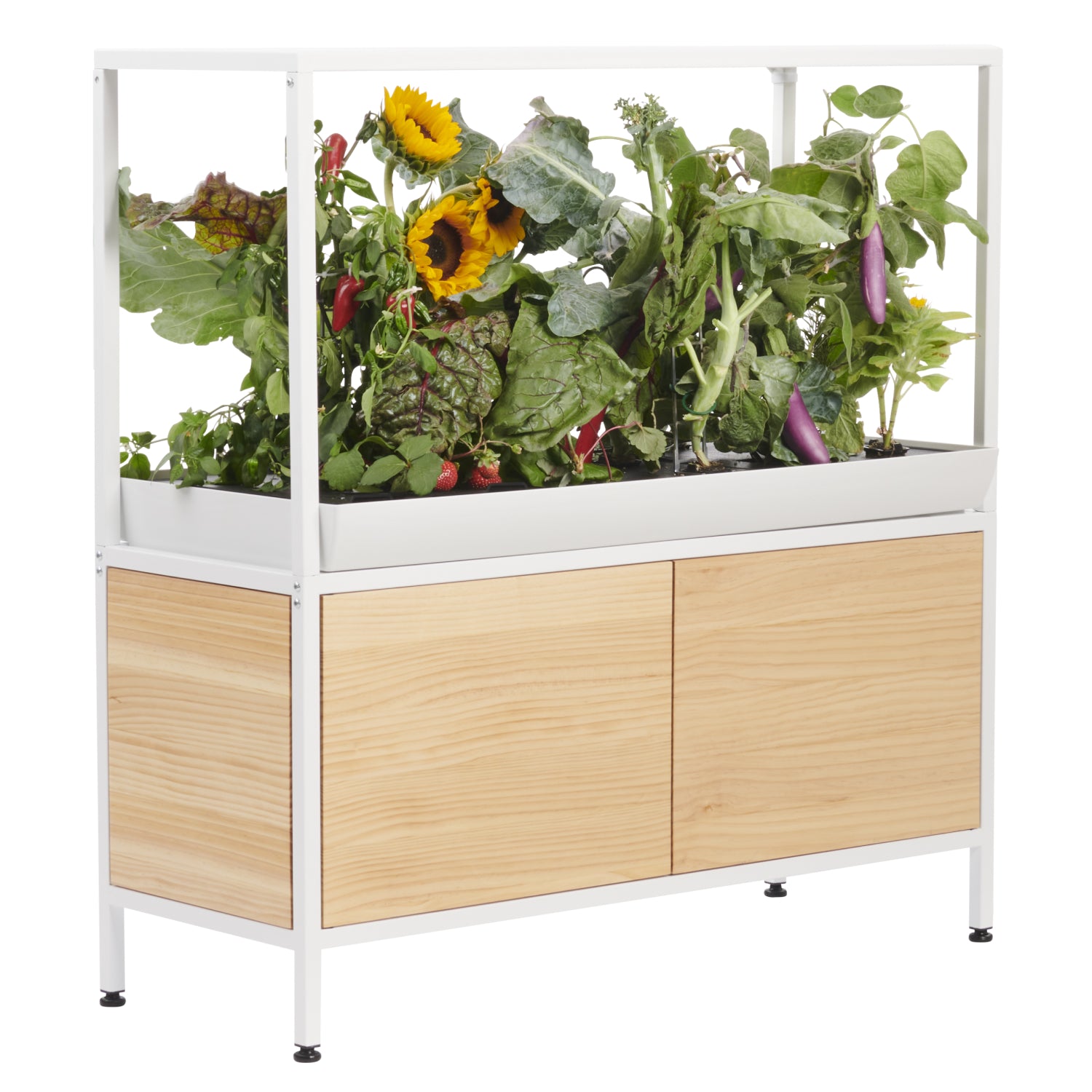 levelup seed & garden supply The Rise Garden 3
