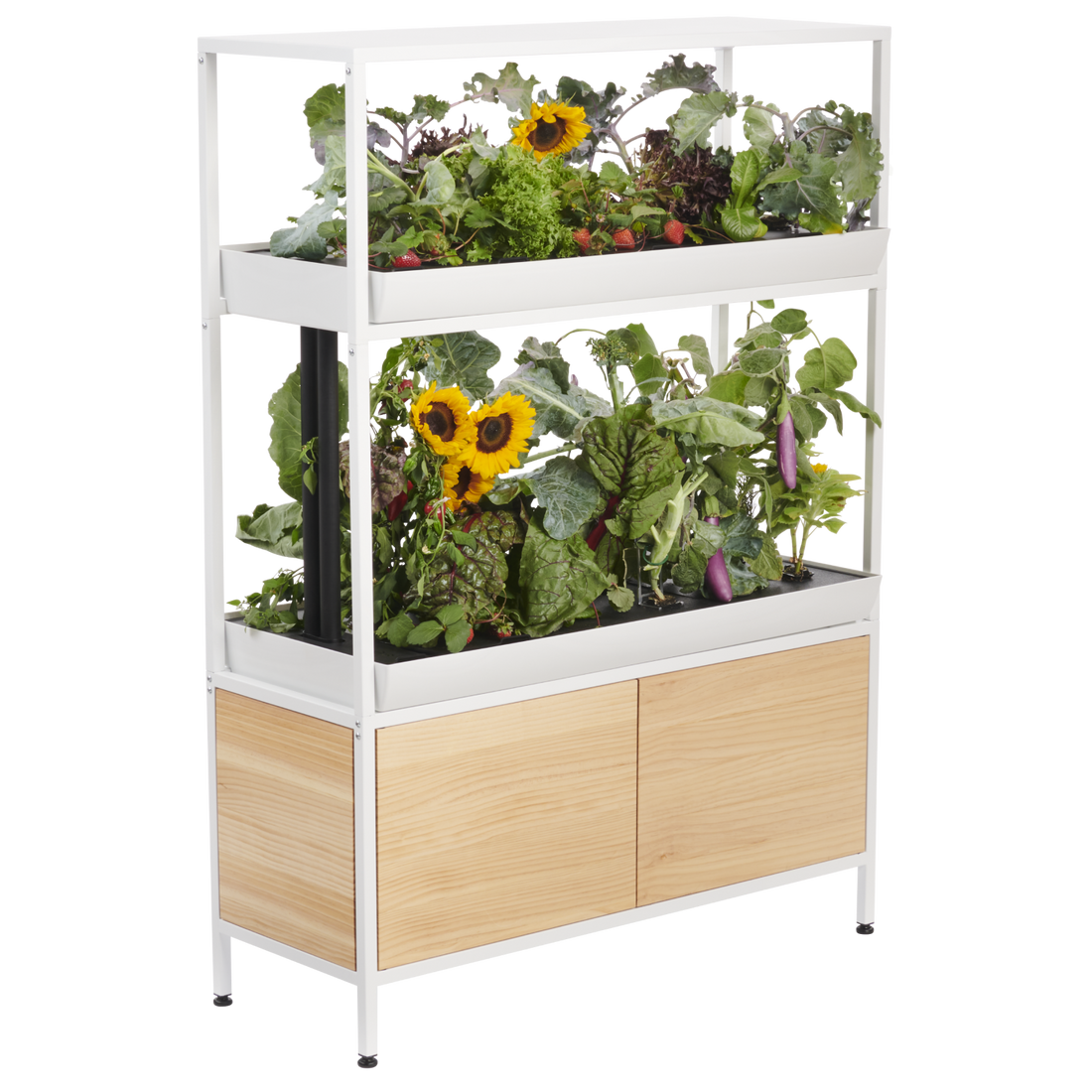 The Rise Garden 3