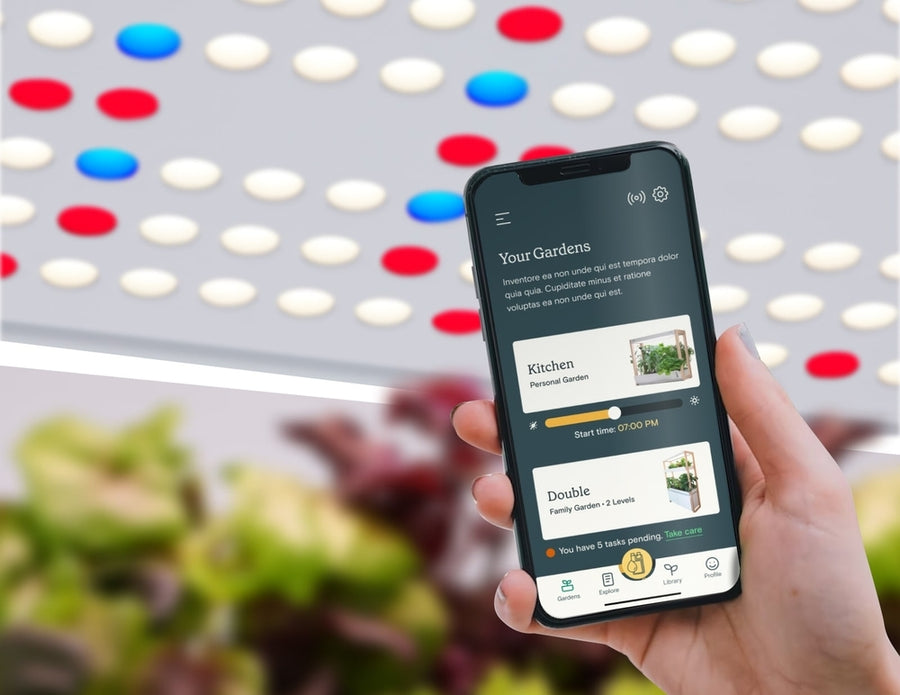 Rise Gardens app displayed on a smartphone, featuring smart notifications and detailed information that make growing fresh produce effortless and hassle-free.