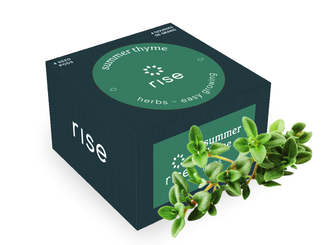 thyme garden seed company Thyme Seeds for Indoor Herb Garden