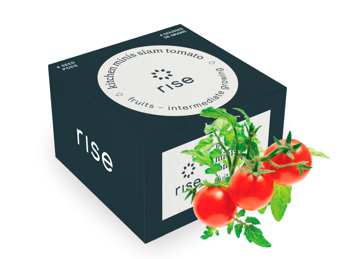 Kitchen Mini Siam Tomato