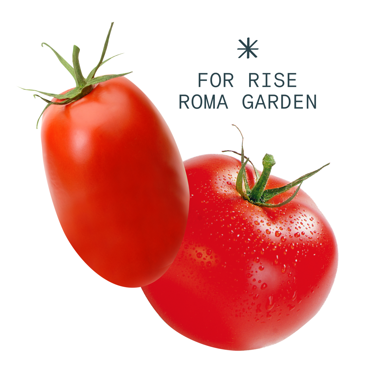 Tomato Variety Pack tomato-variety-pack