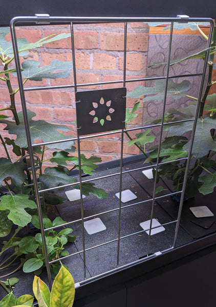 The Trellis Kit