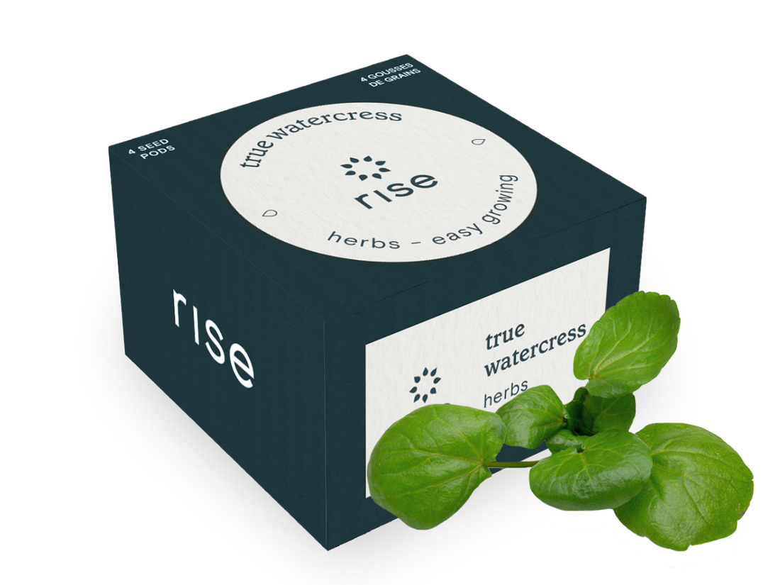 Watercress True