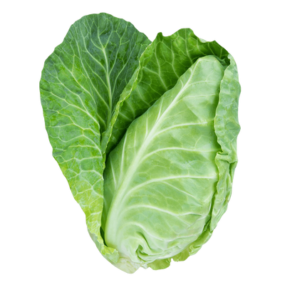 Caraflex Cabbage