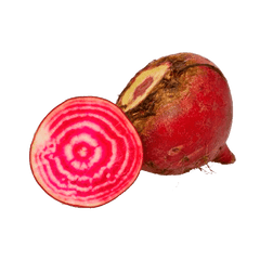 Chioggia-Beet-tr_medium.png?v=