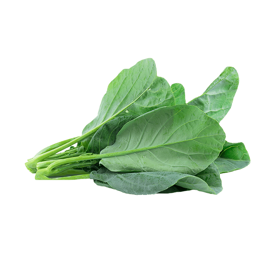 chinese broccoli plant Chinese Broccoli Early Jade seeds for Hydroponic Gardens |Rise Gardens
