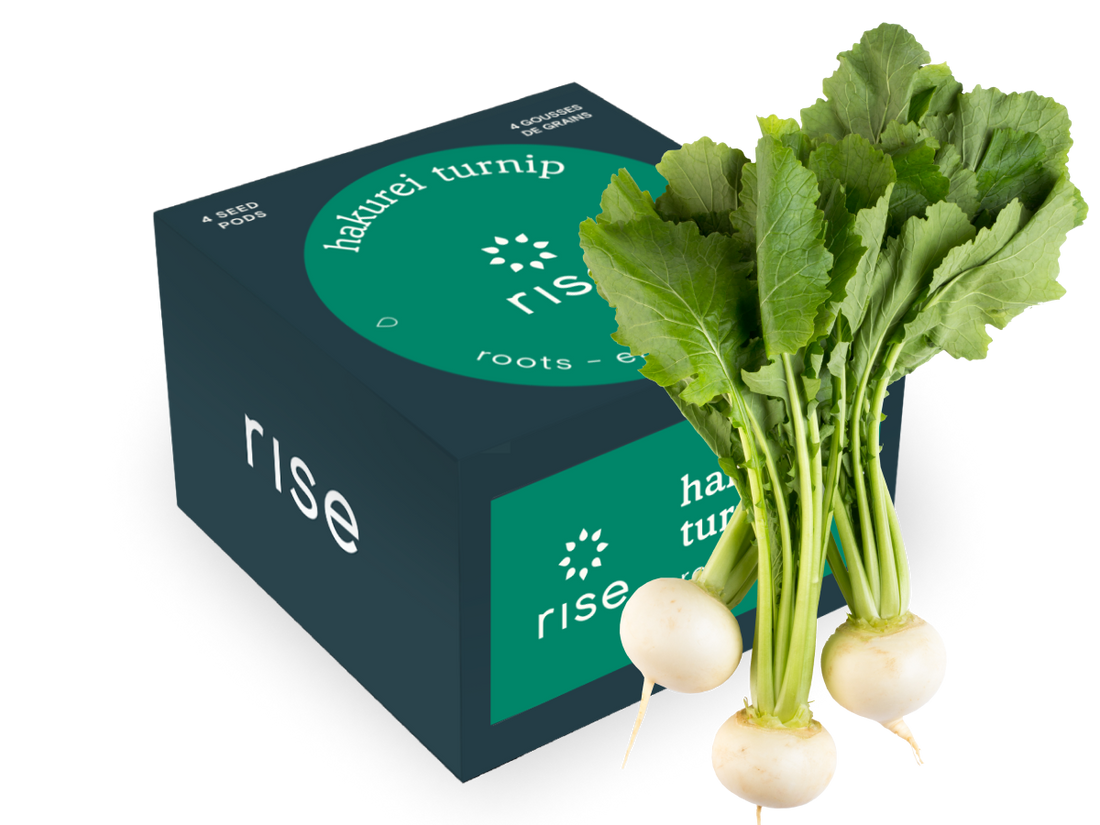 4 pack turnip hydroponic seedpods