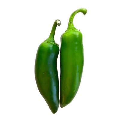 Jalapeño Pepper