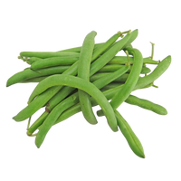 Mascotte (Green) Bean