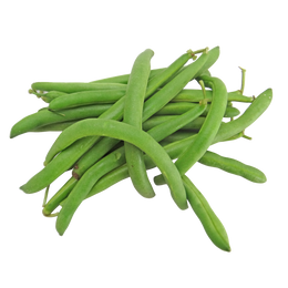 Mascotte (Green) Bean