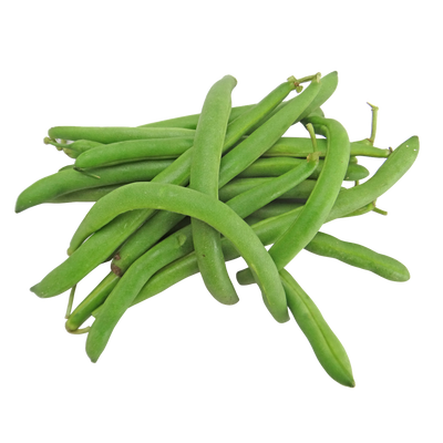 Mascotte (Green) Bean